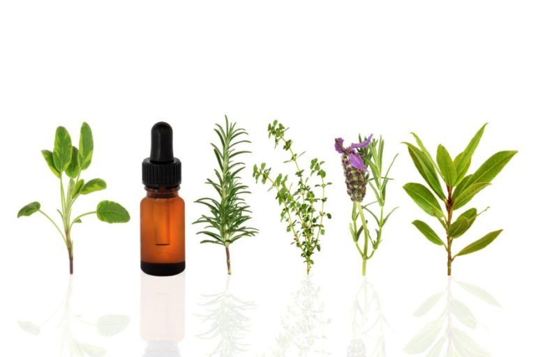 Artigo - Os florais e Dr. Bach