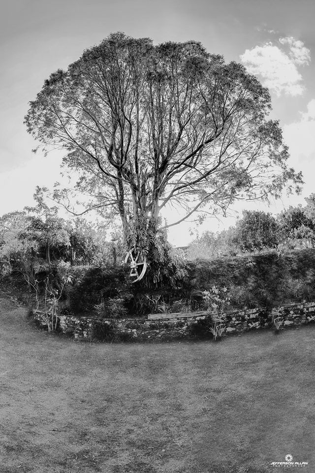 O Jardim zen e a beleza natural